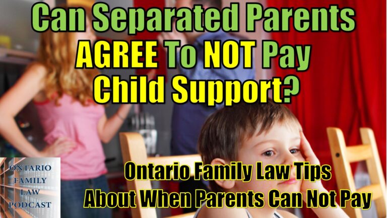 81.  Can Separated Parents Agree to No Child Support?